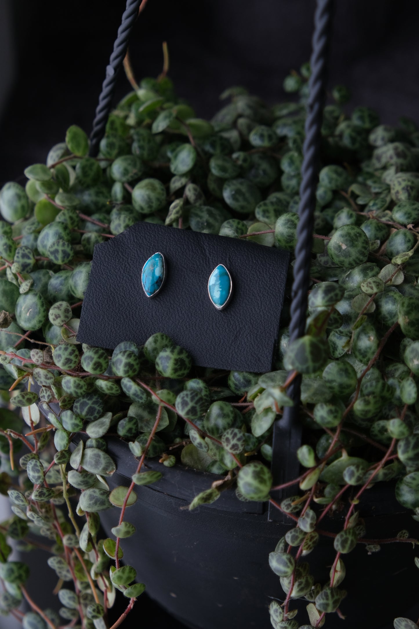 Turquoise Stud Earrings