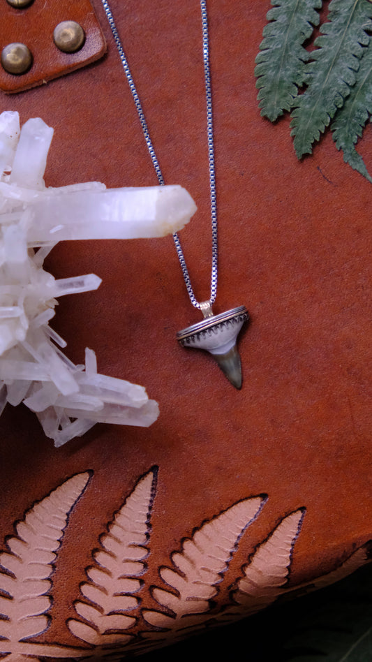 Shark Bait Pendant Necklace, Fossilized Tooth, Sterling & 10kt