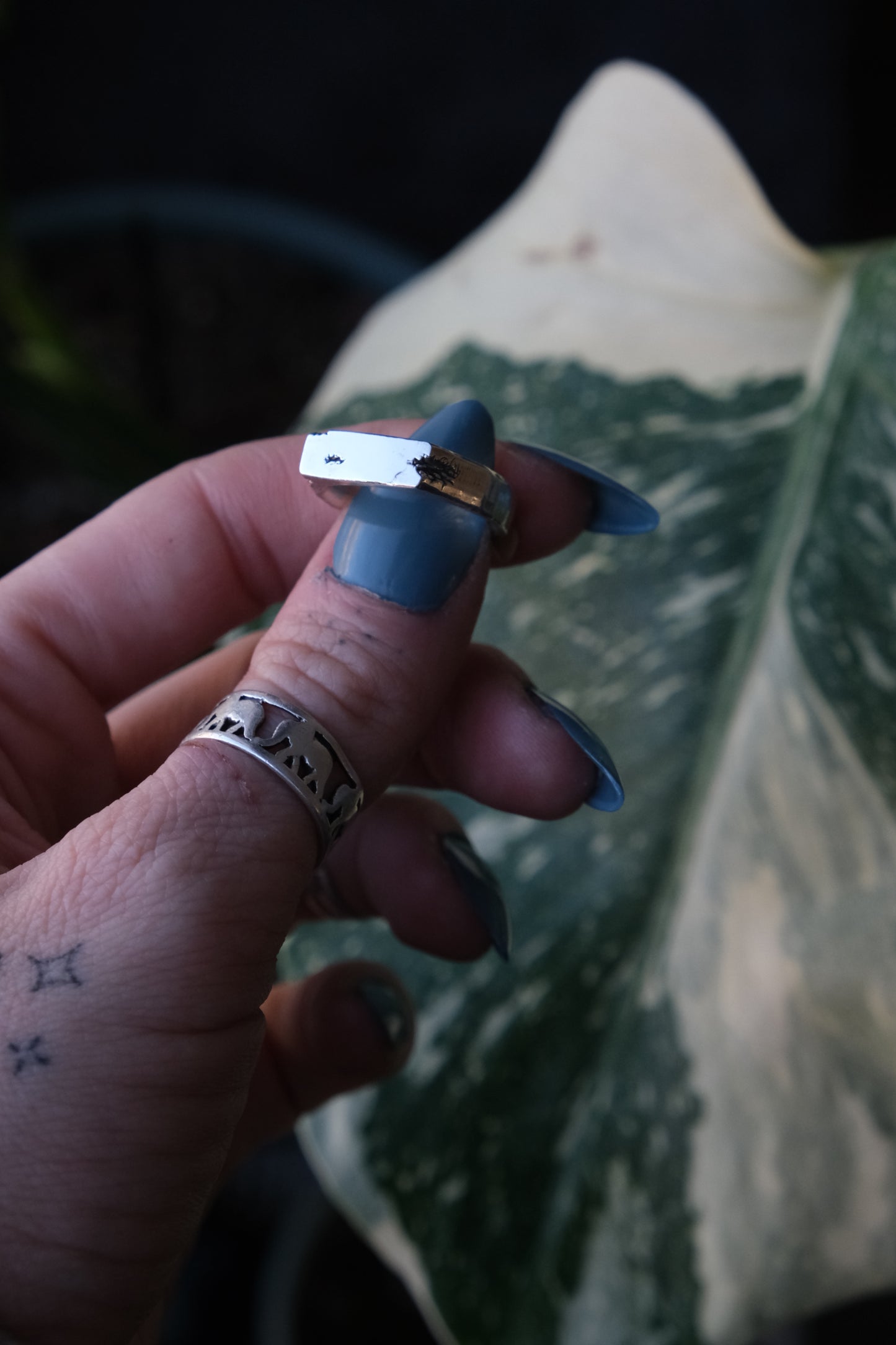 Sterling Signet Ring -size 7