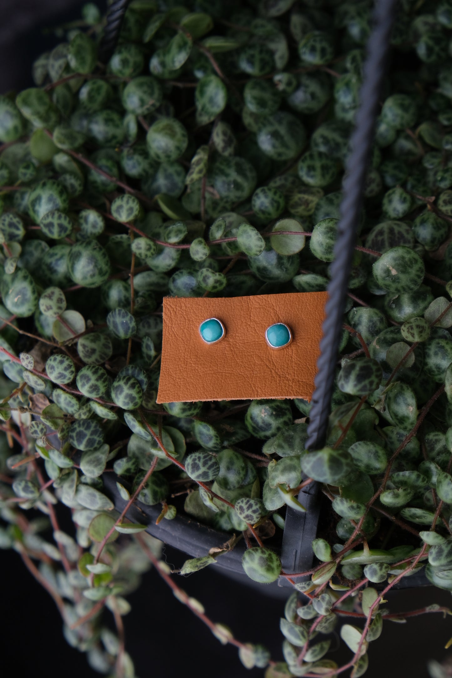 Dainty Turquoise Stud Earrings