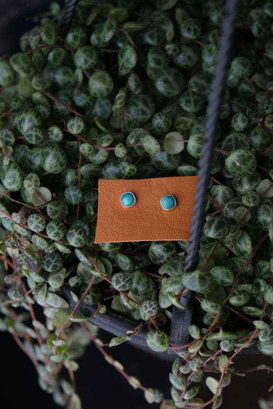 Dainty Turquoise Stud Earrings