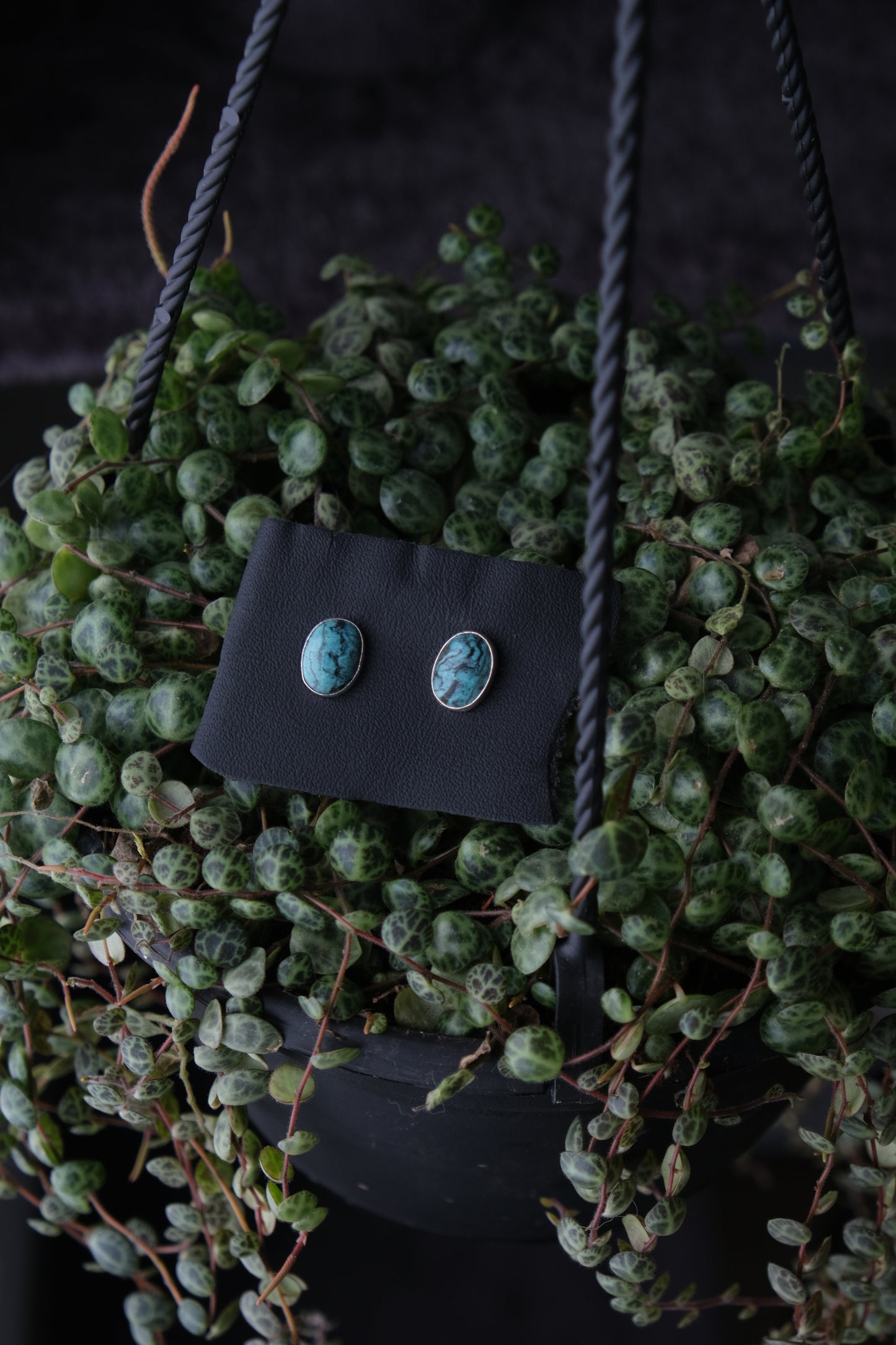 Turquoise Stud Earrings