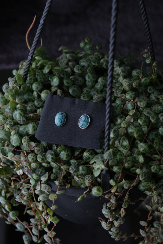 Turquoise Stud Earrings